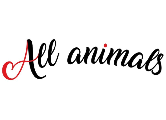 All Animals – masová krmiva, pamlsky a péče pro psy a kočky